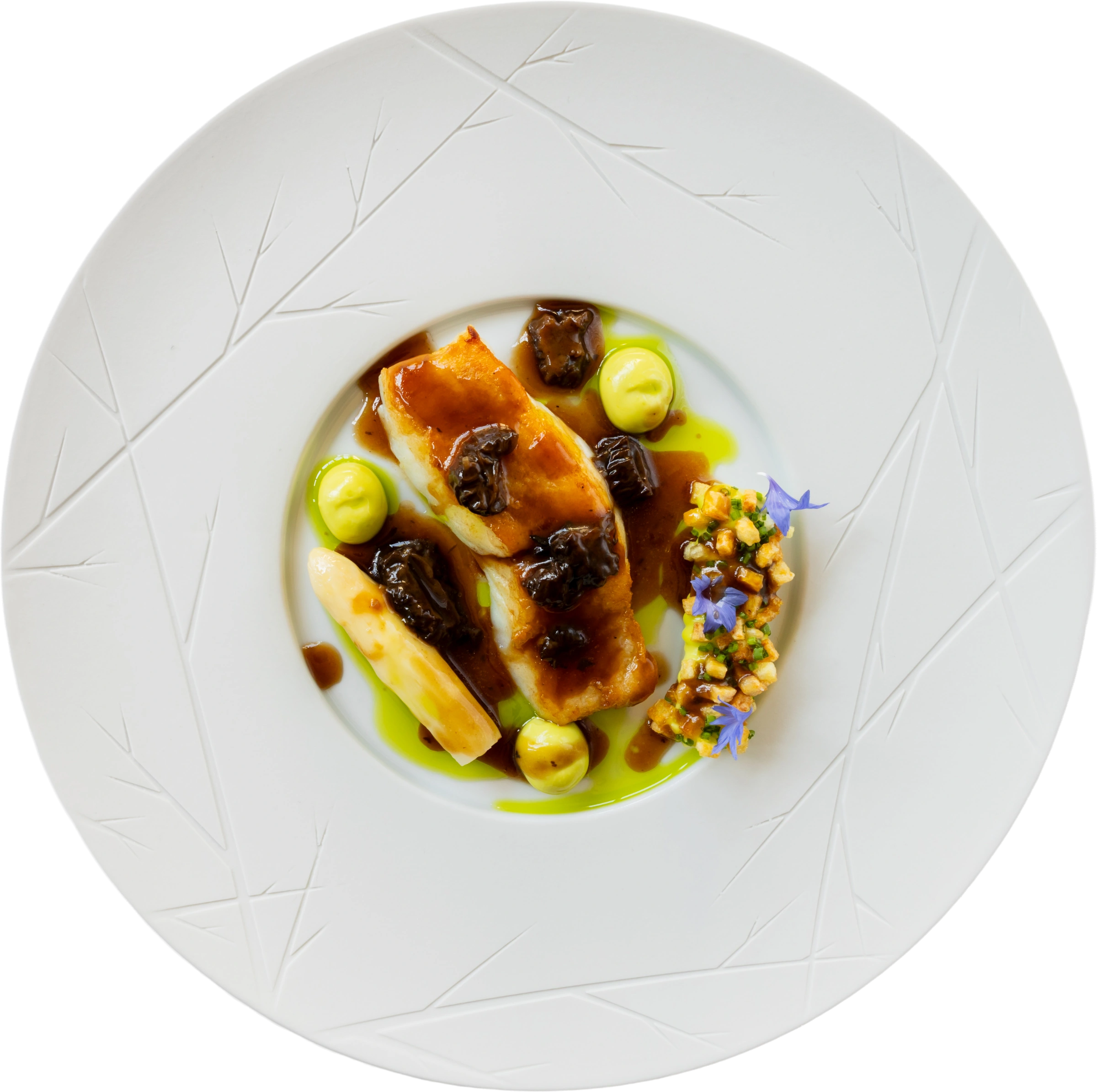 Gebakken visfilet met morieljes, witte asperge, groene crème en jus op wit bord.