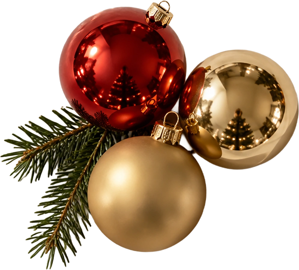 A red and two gold baubles on a pine branch, isolated on white