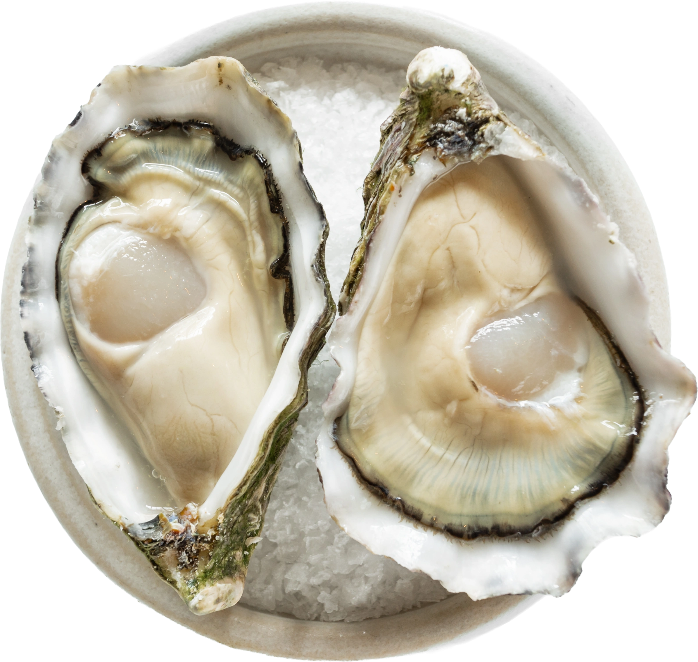 Two opened oysters on coarse salt in a pale ceramic dish.